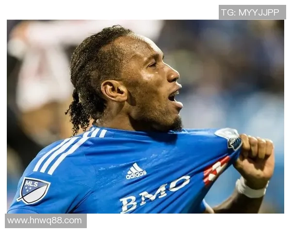 冬青:美国足球明星的崛起与传奇人生之路 冬青:美国足球明星的崛起与传奇人生之路