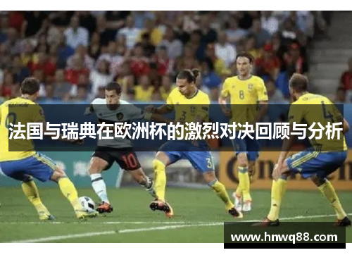 法国与瑞典在欧洲杯的激烈对决回顾与分析